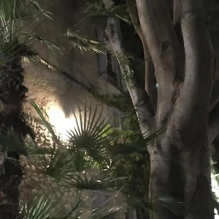 First Floor Fully Renovated Διαμέρισμα *