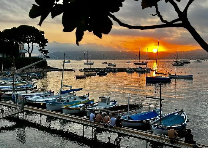 公寓 First Floor Fully Renovated